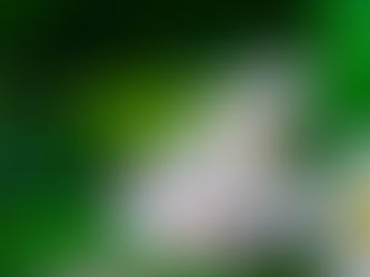 Tuesday thoughts And Receiving