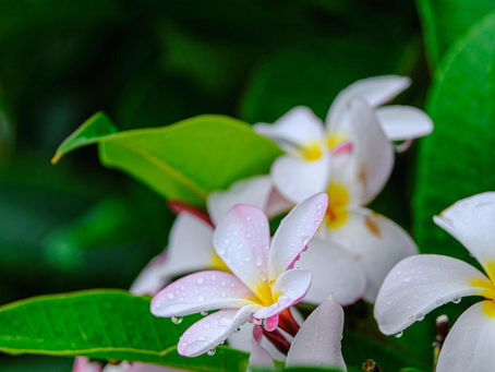 Tuesday thoughts And Receiving