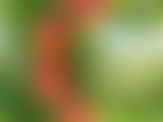 Tuesday Thoughts AndThe Orchard