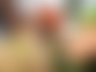 Tuesday thoughts and Retirement