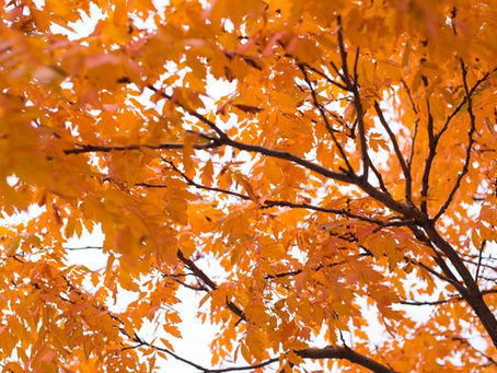 Up Level Thursday And The Wrong Season