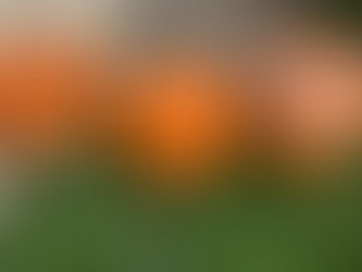 Sunday Step Up and Rituals