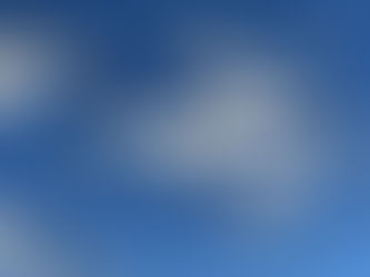 Tuesday Thoughts And Birds Of A Feather....