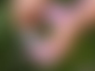 Tuesday Thoughts and a different kind of love