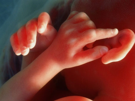 Tuesday thoughts And a Poem For My Expecting Daughter