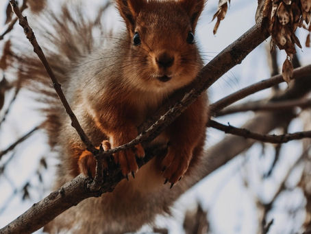 Up Level THursday And Complaining