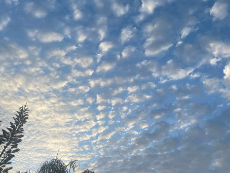 Tuesday Thoughts And Dream