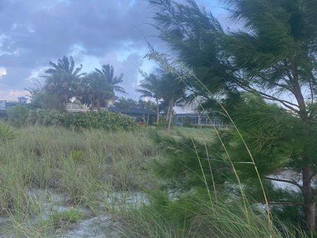 Tuesday Thoughts And Storms