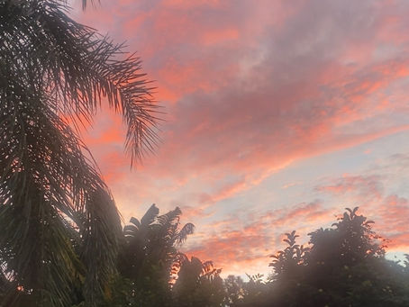 Tuesday thoughts And Life's Punches