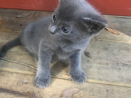 Tuesday thoughts and intention