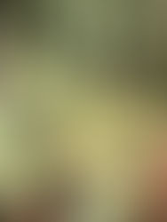 Sunday Step Up And Some Ugly Truth About Me