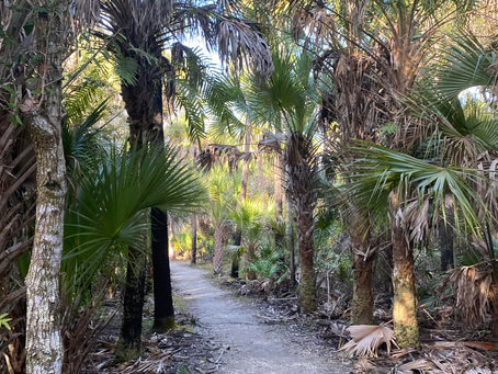 Tuesday Thoughts And The World Needs You