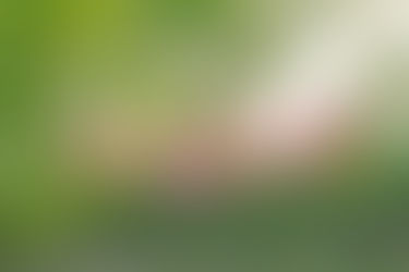 Tuesday Thoughts And Self Care