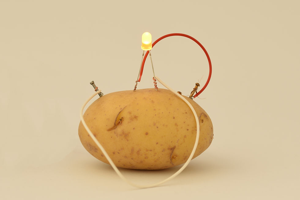 Potato Battery