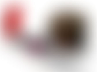 Can Paint add equity to your home?