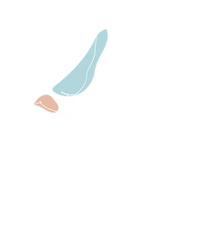 Bird Illustration Bird Island