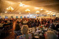 54531321830_6037adb513_k (3)