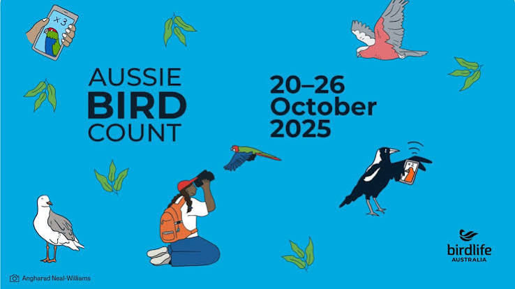 GREAT AUSSIE BIRD COUNT 2026