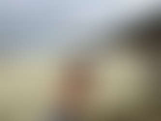 South Australian Algal Bloom Community Forum-Port Lincoln