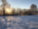 Wiese
