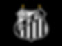 Santos Futebol Clube