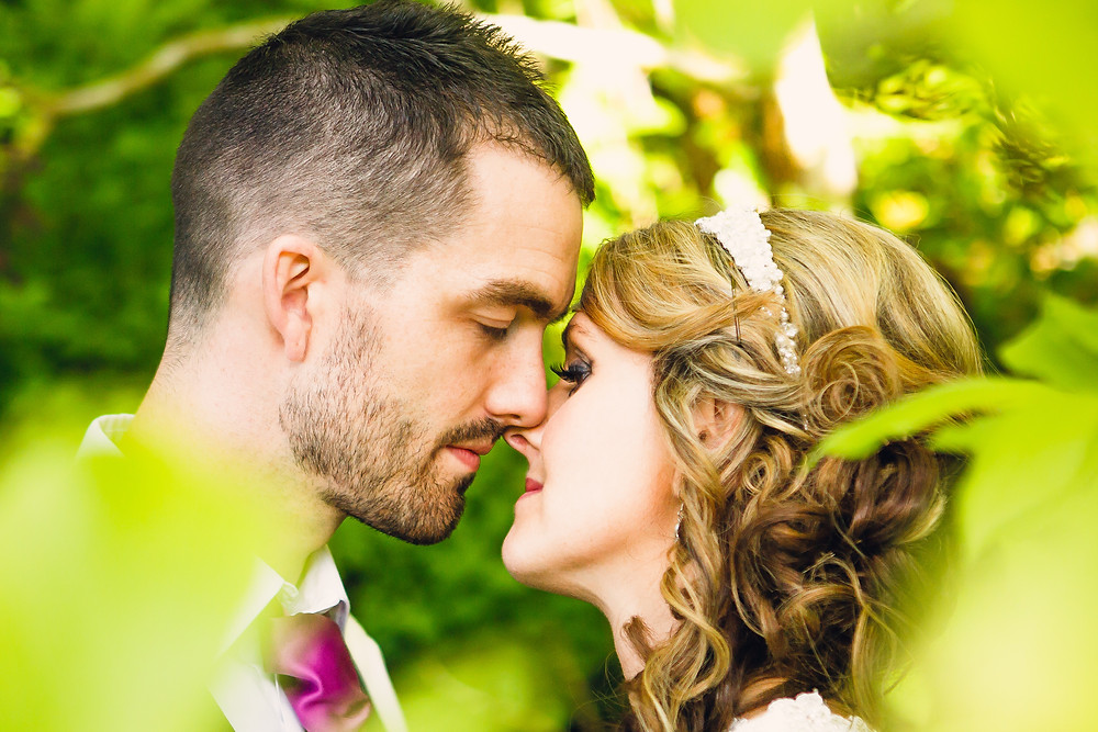 hafod farm weddings