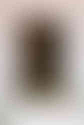 seating chart at the round house in Beacon NY