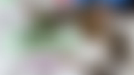 🎖平靚正優惠🎖 即刻 WhatsApp過嚟啦
🌹轉台續約新號碼家庭計劃🌹🤡🤡🤡
現有客戶開新號碼轉台續約，
*=免行政費=* *送月費優惠* 
4.5G 🔥 🔥 🔥 
全速800M