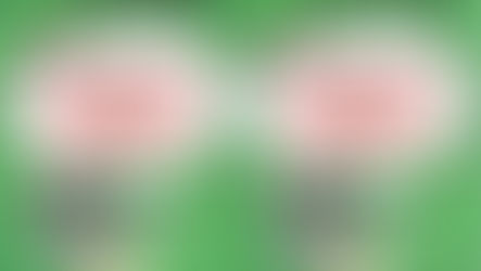 🎉🎉🎉「3HK」最新最平最抵轉台優惠🥳🥳限轉台同新號碼✅

特設一對一到會簽約✅ 為你提供最貼心服務❤️