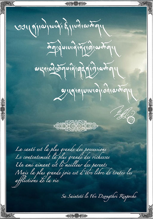 texte de Dzongthri Rinpoche 13  11 20 18