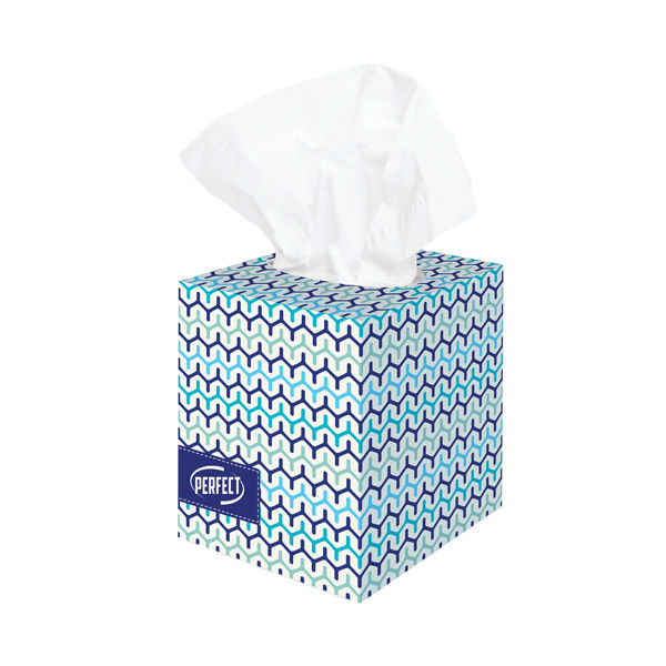 טישו דו שכבתי