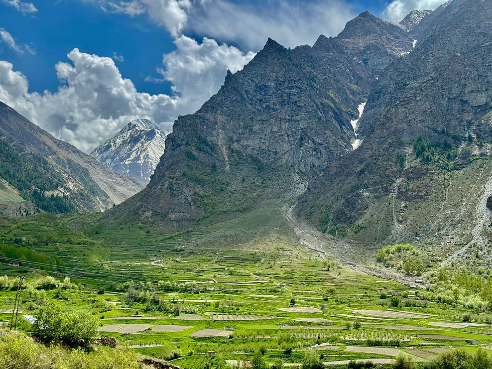 WhatsApp Image 2025-09-26 at 16.33.42