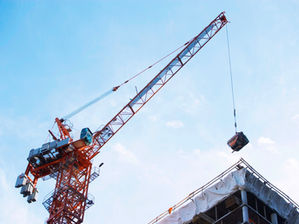 Economic Growth in November