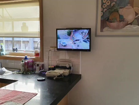 The Boys Doing there thing