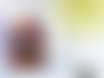 [취재팀] <2레벨로 회귀한 무신> 염비 작가님 특강