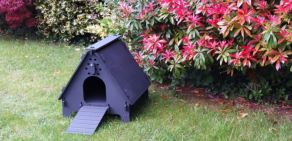 Thumbnail: Cabin Broody Coop