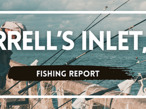 Murrells Inlet Fishing Report | SC Fishing Report Saltwater