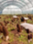 20230406_113751_edited.jpg