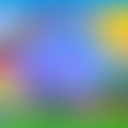 Оголошення