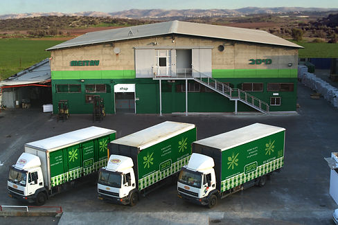 מבנה מיטב.jpg