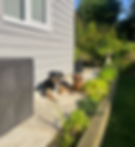 Screenshot 2025-01-22 161624.png