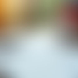 Falência empresarial não anula seu direito de propriedade