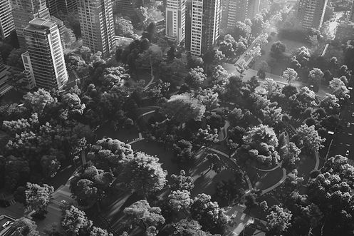 aerial-view-city-park.jpg