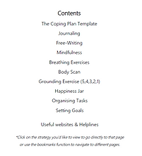 Screenshot of contents of the coping plan