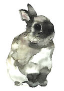 COURS DESSIN BD ILLUSTRATION AQUARELLE ENFANTS ADOS ADULTES 44270 44310 44680