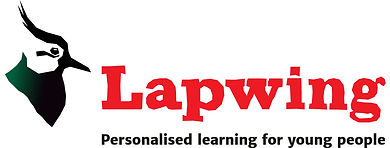 Lapwing_Lockup_Tagline_RGB.jpg