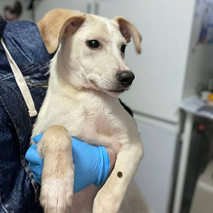 photo_2026-01-16 11.33.33 (1).jpeg