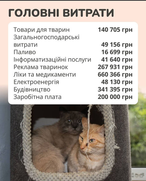 Звіт за серпень, 2025