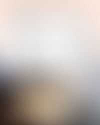 Звіт за січень, 2026