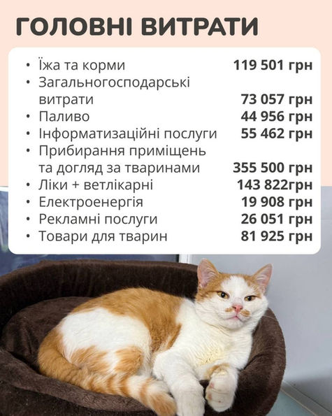 Звіт за січень, 2026